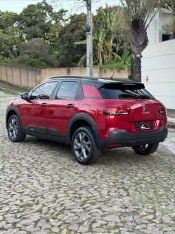 
										C4 Cactus Feel cheio									