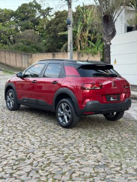 C4 Cactus Feel