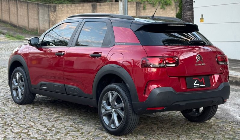 
								C4 Cactus Feel cheio									