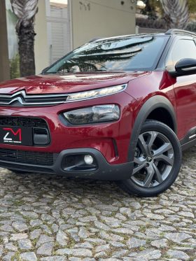 C4 Cactus Feel